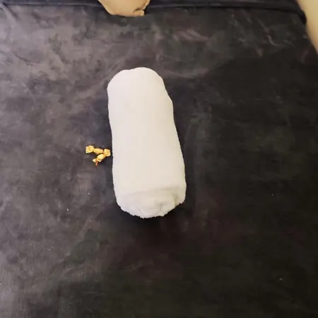 Liberdade Royal Esquerdo * 브라가